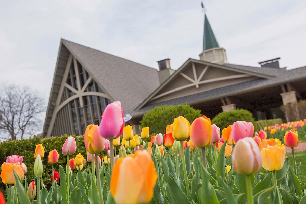 A garden of colorful tulips is in full bloom in front of a large, church-like building with a steeple under a cloudy sky, creating a picturesque scene.