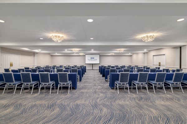 A conference room with rows of blue chairs facing a screen, white walls, and chandeliers on a patterned carpet floor.
