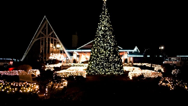 A beautifully decorated Christmas tree is surrounded by holiday lights in front of a building, creating a festive nighttime scene.