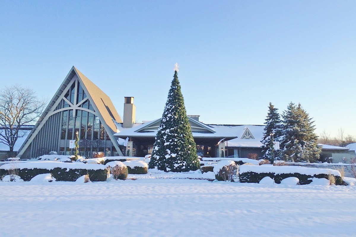 A modern house with a large Christmas tree in front, surrounded by snow and shrubs, under a clear blue winter sky.