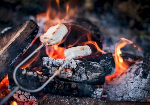 Marshmallows are being roasted over a campfire with burning logs and glowing embers.