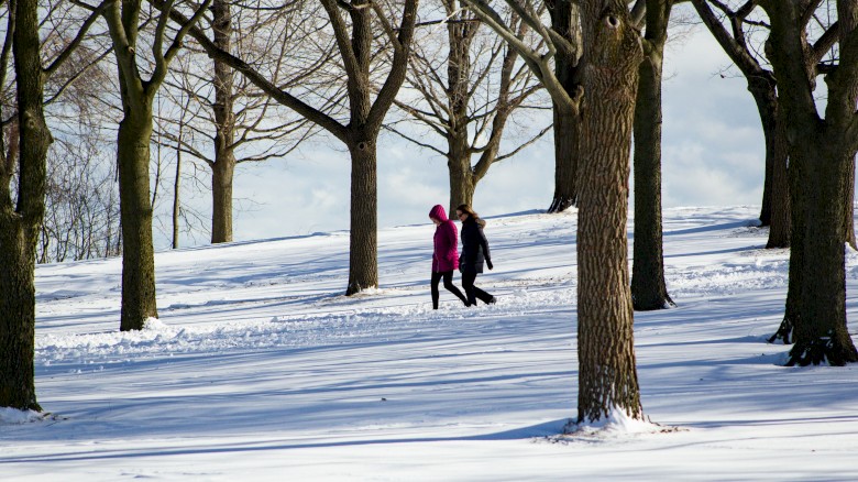 Two women walk through a snow-covered park with tall leafless trees on a cloudy winter day.