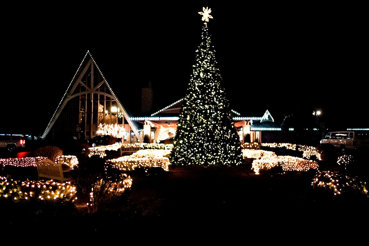 A large Christmas tree adorned with lights stands in front of a brightly decorated house with festive holiday lighting at night.