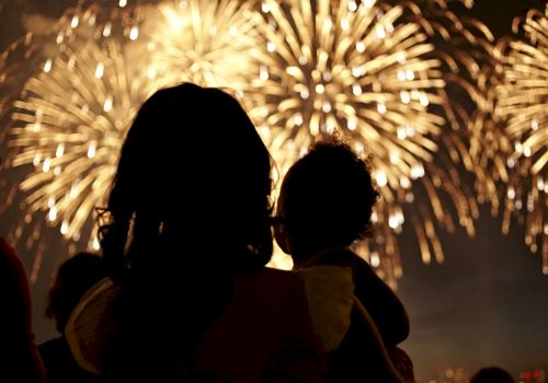 A silhouetted person holds a child, both watching fireworks bursting in the sky.