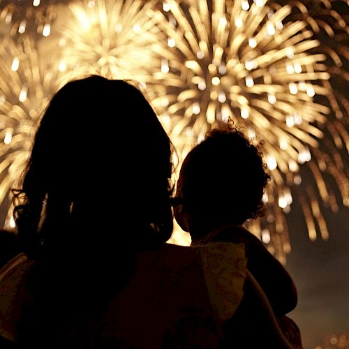 A silhouetted person holds a child, both watching fireworks bursting in the sky.