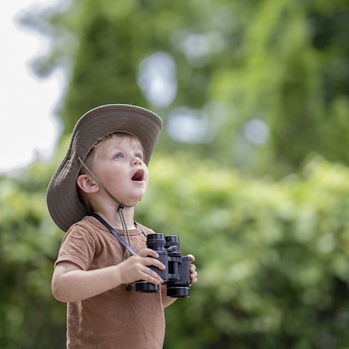 A young child with a wide-brimmed hat holds binoculars and looks upward in a park or forest, appearing curious and fascinated by something.
