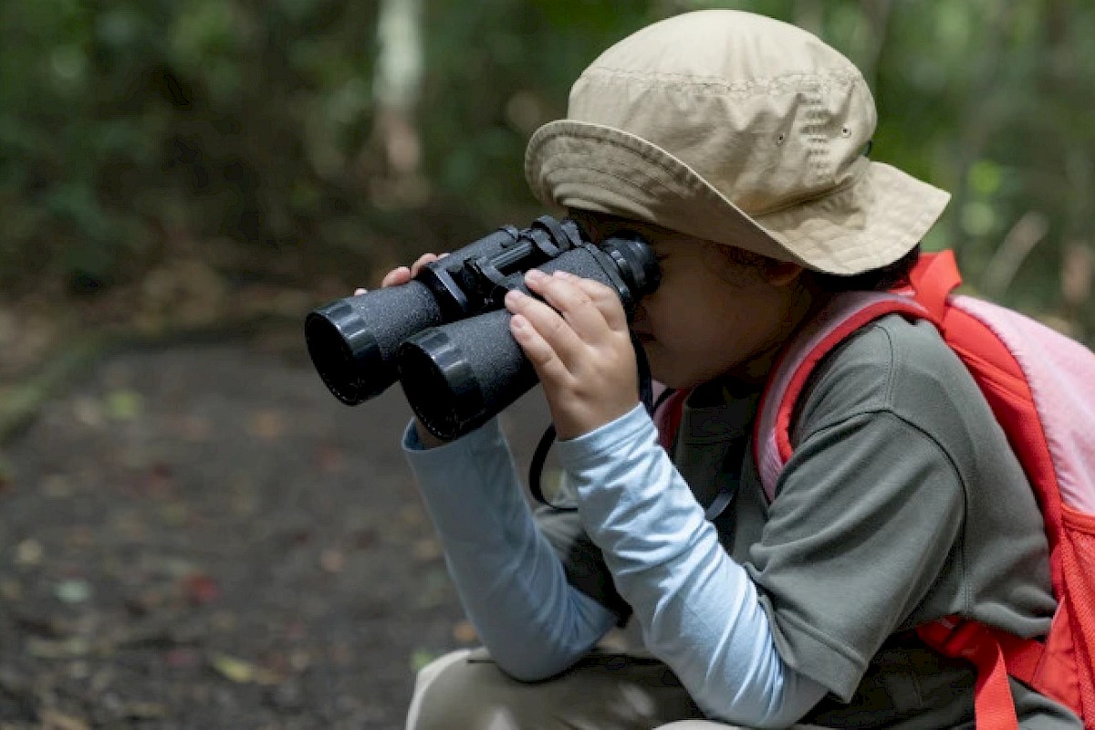 A person with a hat and backpack is using binoculars in a forested area.