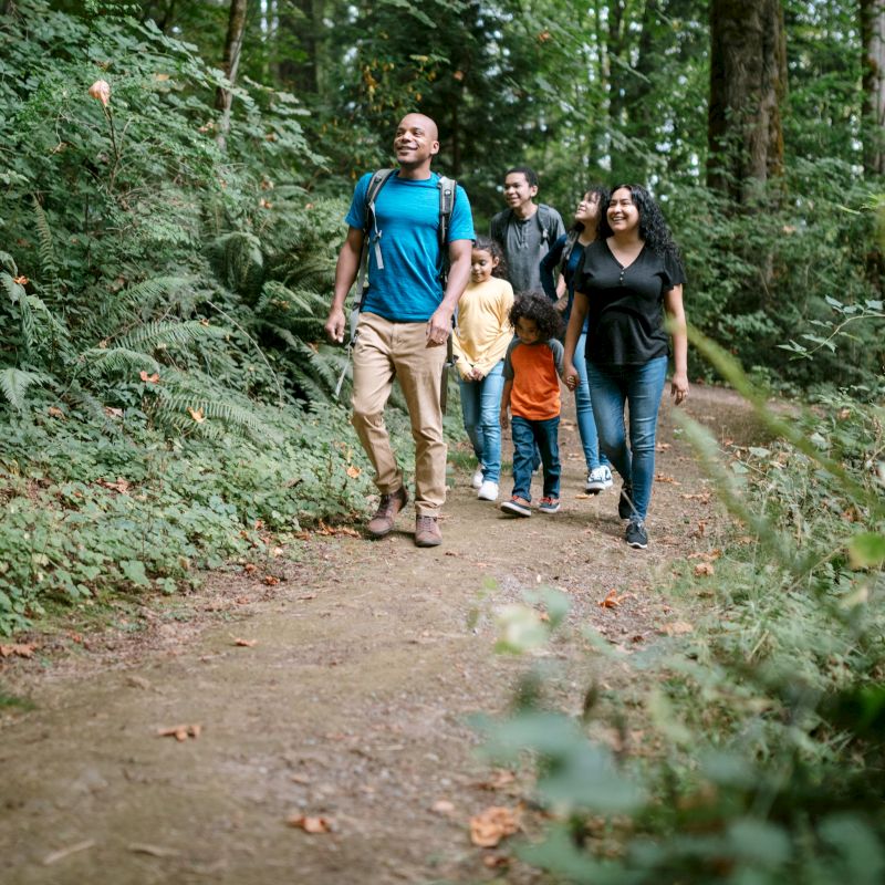 A group of people, including adults and children, are walking on a forest trail surrounded by lush greenery, all smiling as they walk together.