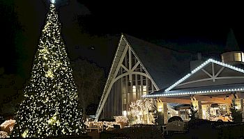 The image shows a brightly-lit Christmas tree next to a building adorned with holiday lights at night. The scene is festive and illuminated.